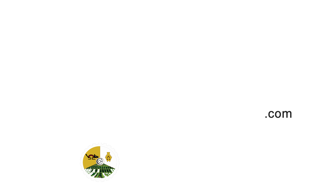 Turismo Chincha